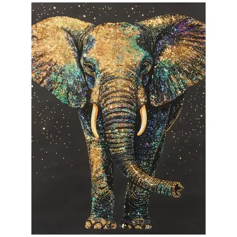 Dekorácie a bytové doplnky Obraz 60x80x3cm WG2509588BAN