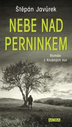 Romantická beletria Nebe nad Perninkem - Štěpán Javůrek