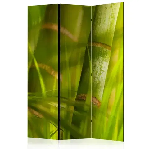 Paravány Paraván Bamboo - nature zen Dekorhome
