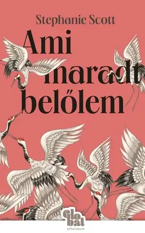 Detektívky, trilery, horory Ami maradt belőlem - Stephanie Scottová