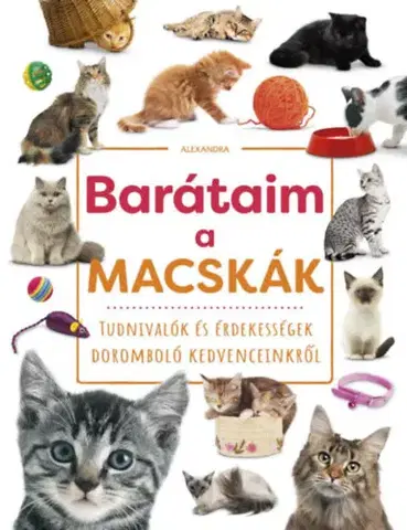 Príroda Barátaim, a macskák