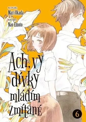 Manga Ach, vy dívky mládím zmítané 6 - Mari Okada,Nao Emoto,Jakub Jezdinský