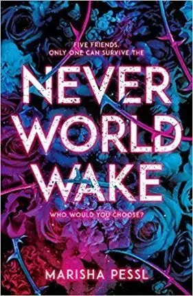 V cudzom jazyku Neverworld Wake - Marisha Pesslová