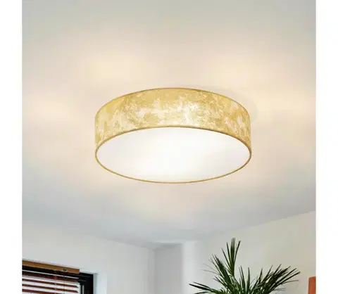 Svietidlá Eglo 97641 - Stropné svietidlo VISERBELLA 1xE27/60W/230V 97641