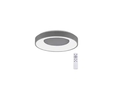 Svietidlá Leuchten Direkt 14326-18 - LED Stmievateľné svietidlo ANIKA LED/30W/230V + DO 14326-18