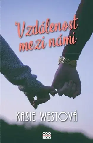 Young adults Vzdálenost mezi námi - Kasie West
