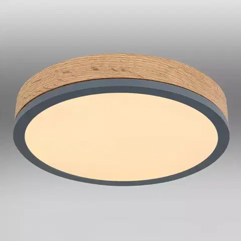 Lampy do obývačky Stropnica 416080WD1R LED 12W grafit PL