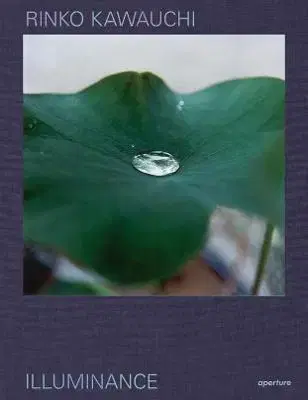 Fotografia Rinko Kawauchi: Illuminance - Rinko Kawauchi,David Chandler