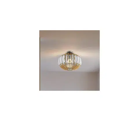 Svietidlá Eglo 32844 - Stropné svietidlo OLMERO 1 1xE27/60W/230V 32844