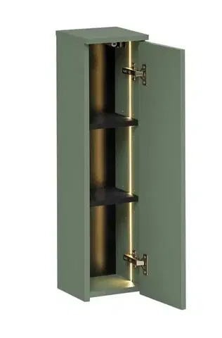 Skrinky do kúpeľne ArtCom Závesná skrinka do kúpeľne SOMBRA GREEN 83-20-1D | 20 cm