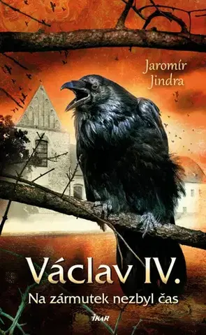 Historické romány Václav IV. - Na zármutek nezbyl čas - Jindra Jaromír