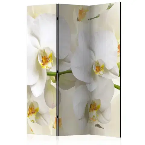 Paravány Paraván Orchid Branch Dekorhome