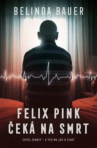 Detektívky, trilery, horory Felix Pink čeká na smrt - Belinda Bauer