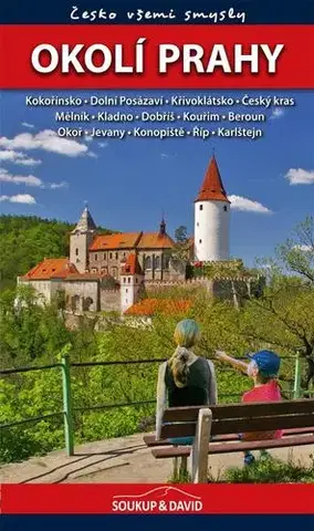 Slovensko a Česká republika Okolí Prahy: Česko všemi smysly - Vladimír Soukup,David Petr