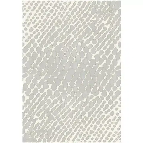 Moderné koberce Koberec Shade 1,6/2,3 24321 861