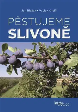 Úžitková záhrada Pěstujeme slivoně - Jan Blažek