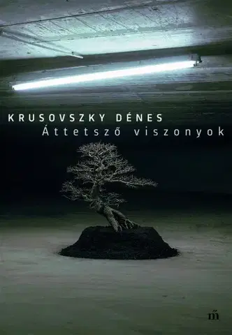 Svetová beletria Áttetsző viszonyok - Dénes Krusovszky