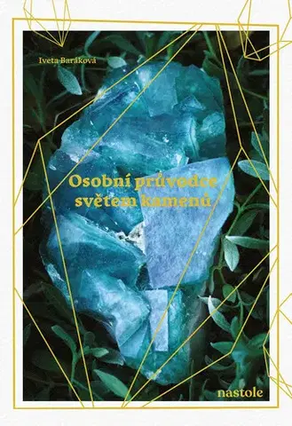 Ekológia, meteorológia, klimatológia Osobní průvodce světem kamenů - Iveta Baráková