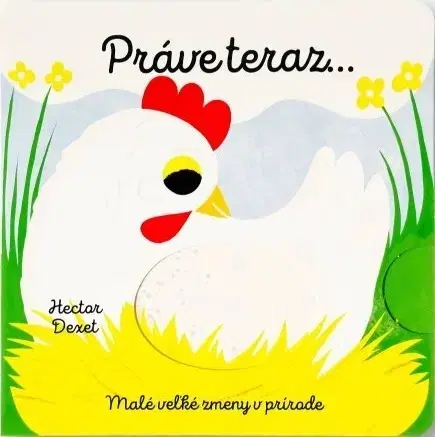 Leporelá, krabičky, puzzle knihy Práve teraz… - Malé veľké zmeny v prírode - Hector Dexet