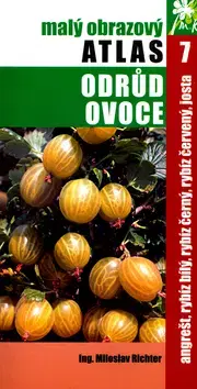 Úžitková záhrada Angrešt, rybíz bílý, rybíz černý, rybíz červený, josta - Miloslav Richter