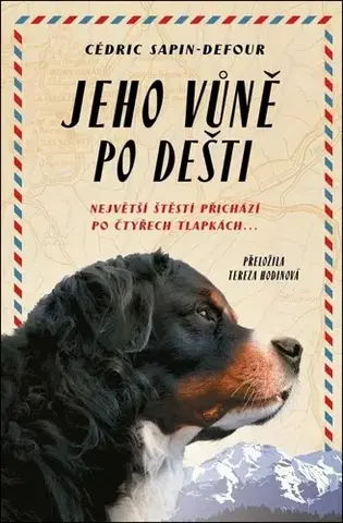 Svetová beletria Jeho vůně po dešti - Cedric Sapin-Defour