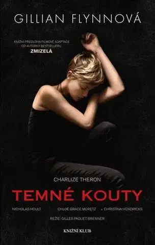 Detektívky, trilery, horory Temné kouty - 2.vydání - Gillian Flynn