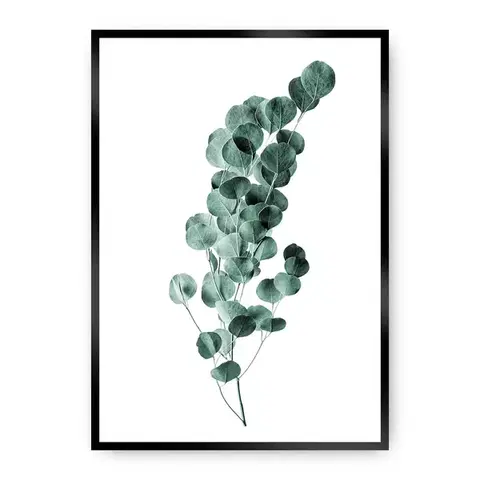 Obrazy Plagát Eucalyptus Emerald Green