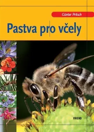 Hmyz Pastva pro včely - Günter Pritsch