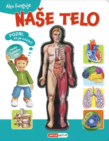 Ľudské telo Ako funguje naše telo