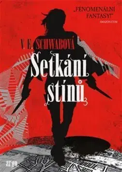Sci-fi a fantasy Setkání stínů - Victoria Schwabová