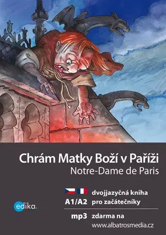 Učebnice a príručky Chrám Matky Boží v Paříži / Notre-Dame de Paris