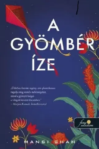 Romantická beletria A gyömbér íze - Mansi Shah