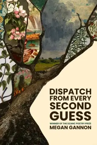 Poézia Dispatch From Every Second Guess - Megan Gannon