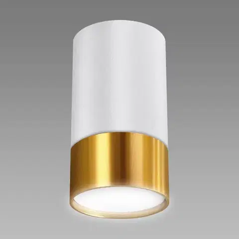 Lampy do obývačky Stropné svietidlo PUZON DWL GU10 bielo-zlaté 04122 K1