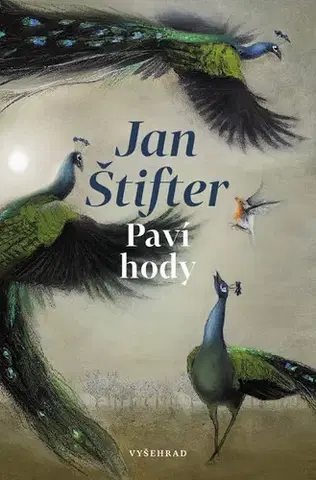 Romantická beletria Paví hody - Jan Štifter