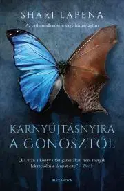 Detektívky, trilery, horory Karnyújtásnyira a gonosztól - Shari Lapena