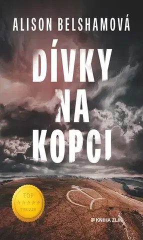 Detektívky, trilery, horory Dívky na kopci - Alison Belshamová