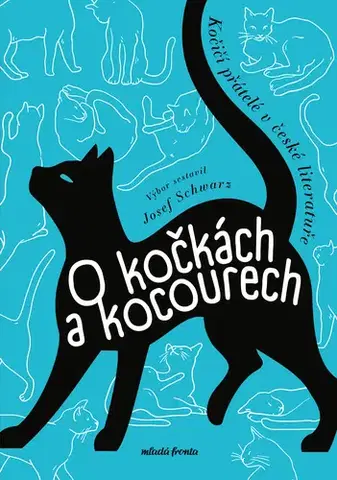 Rozprávky O kočkách a kocourech - Kolektív autorov