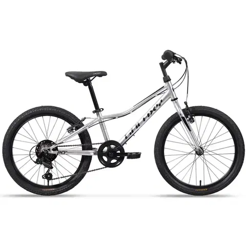 Bicykle Galaxy Neptun 20" 2025 strieborná - 10" (113-135 cm)