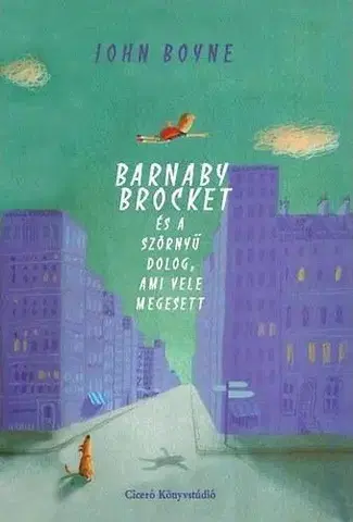 Pre deti a mládež - ostatné Barnaby Brocket és a szörnyű dolog, ami vele megesett - John Boyne