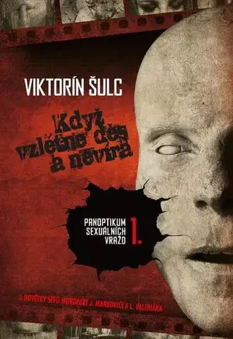 Detektívky, trilery, horory Když vzlétne děs a nevíra - Šulc Viktorín