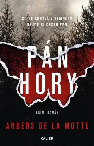 Detektívky, trilery, horory Pán hory - Motte de la Anders,Jaroslav Bojanovský
