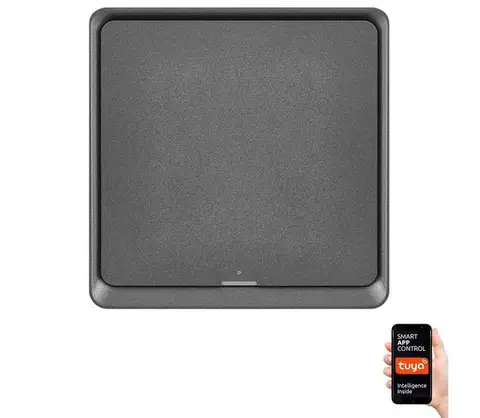 LED osvetlenie  Vypínač 1-tlačidlový GoSmart 1xCR2430 Tuya čierna H5014