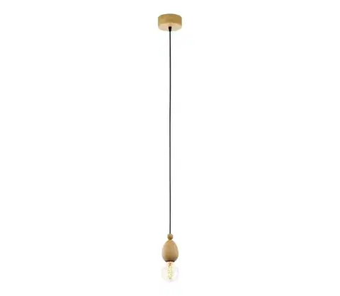 Svietidlá Eglo 49376 - Závesné svietidlo AVOLTRI 1xE27/60W/230V 49376