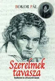 Romantická beletria Szerelmek tavasza - Pál Bokor