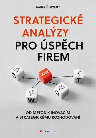Manažment Strategické analýzy pro úspěch firem - Karel Červený