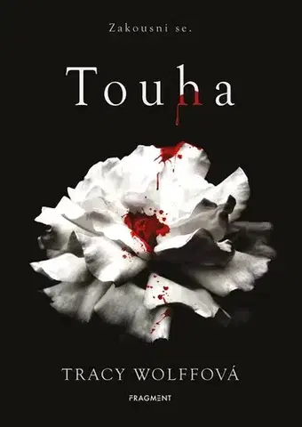 Fantasy, upíri Touha - Tracy Wolff,Drahomíra Michnová