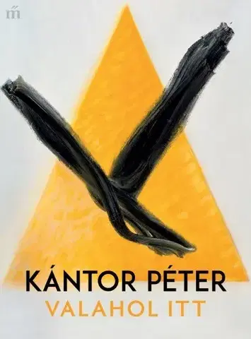 Svetová beletria Valahol itt - Péter Kántor