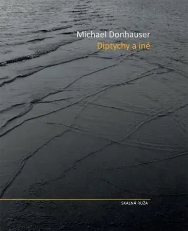 Svetová poézia Diptychy a iné - Michael Donhasuer