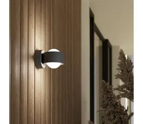 Svietidlá Eglo 98746 - LED Vonkajšie nástenné svietidlo TREVIOLO 2xLED/2W/230V IP44 98746